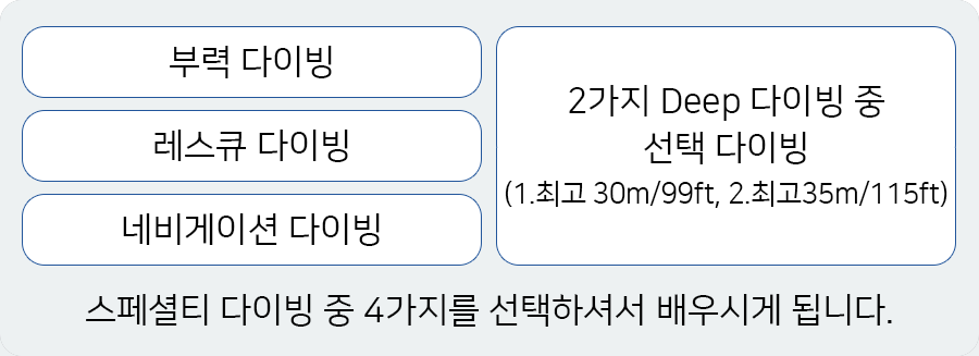 스페셜티 교육